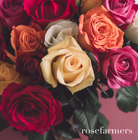 Farmer's Choice Roses [EBG]